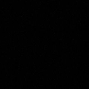 Meet your Posher, Lorri